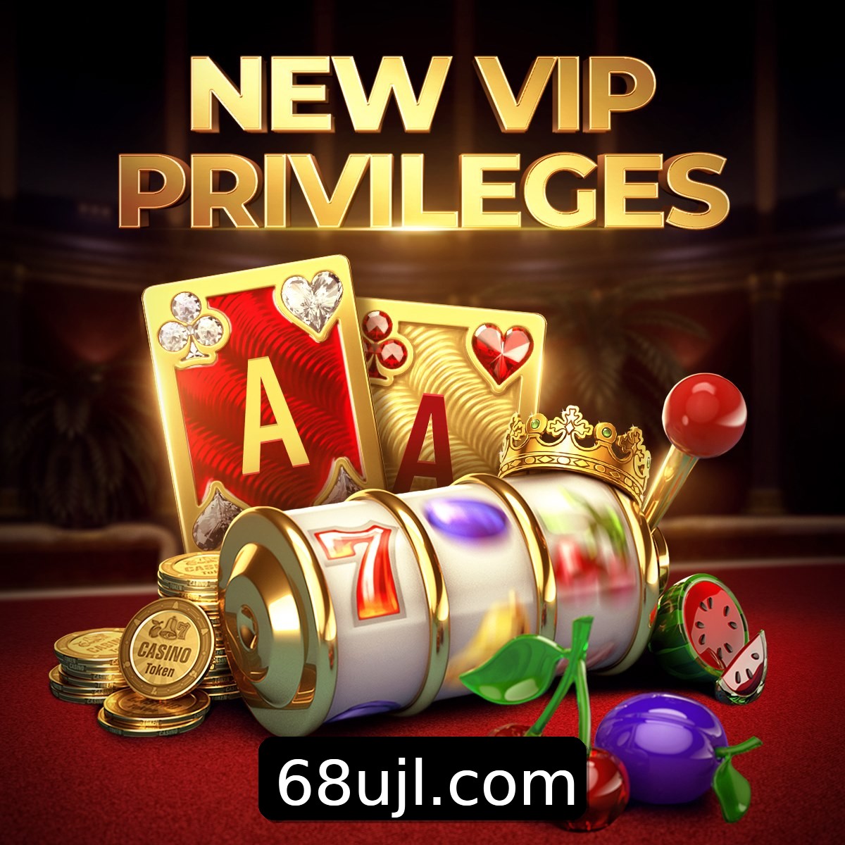 Programa VIP 68U
